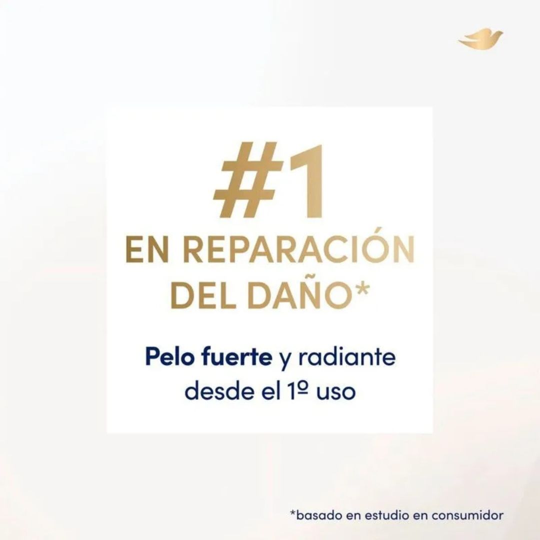 dove-reconstcompleta-aco-x-400-32061