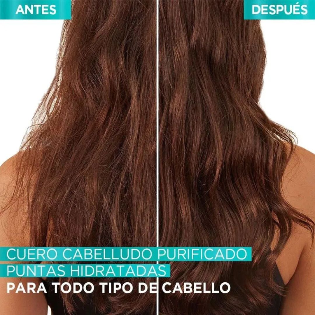 elvive-ha-pure-hidra-purifica-sha-x-400-47692